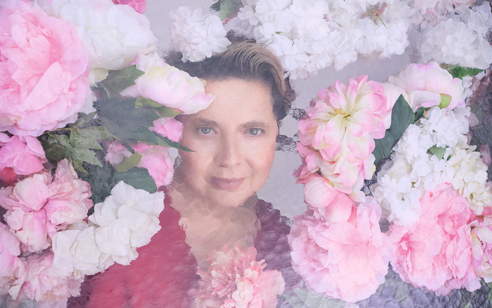 伊莎贝拉·罗西里尼