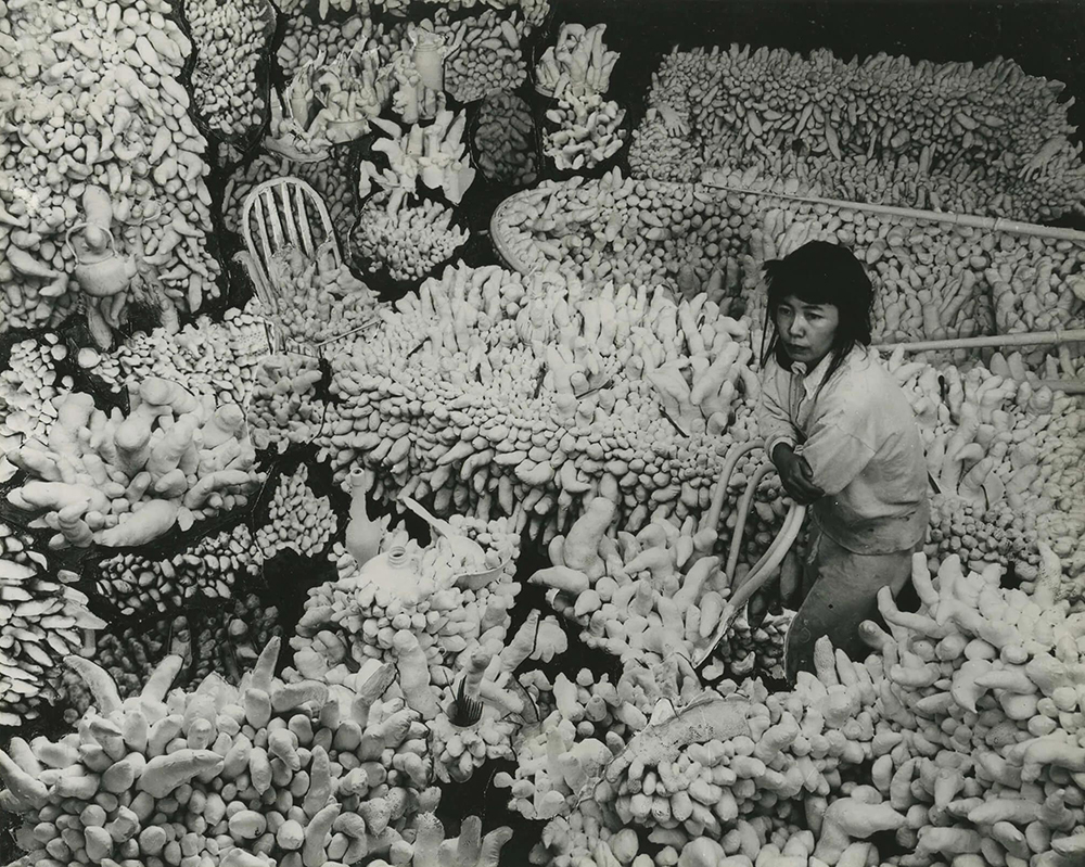 1964 年,草间弥生和自己的软雕塑作品