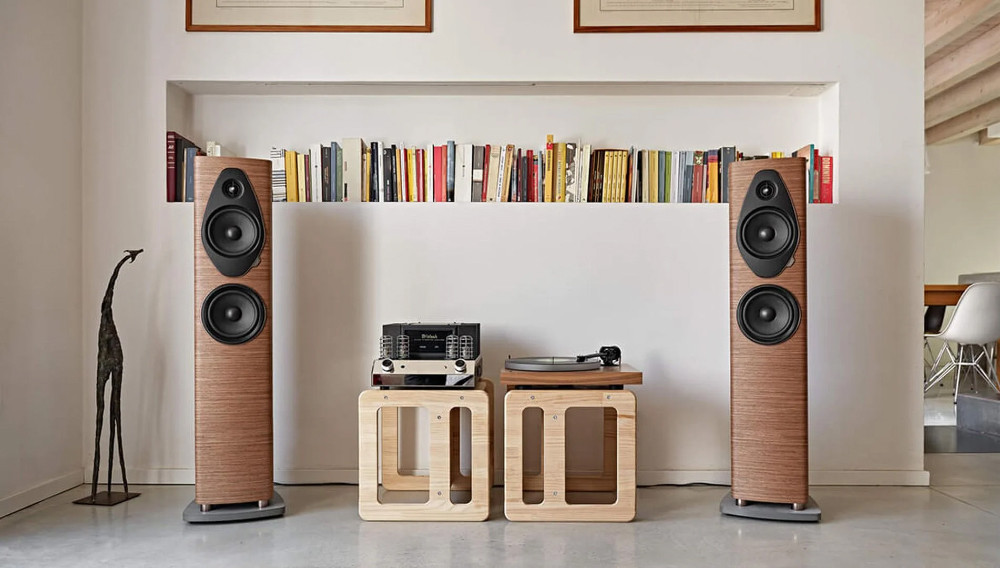 创立于 1983 年的意大利音响品牌 Sonus faber,国内叫势霸,和玛莎拉蒂合作车载音响也让更多普通大众认识了它