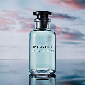 lv_IMAGINATION_20220126143135_